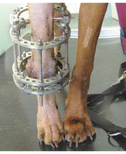 Dr. Hannes Kriegleder Bild 2