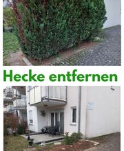 Hecke entfernen