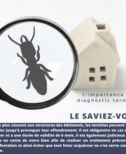 Diag Précision Guadeloupe image 1