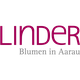 Linder Blumen am Bahnhofplatz in Aarau