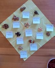 PHÖNIX TCM | Philipp Näf Bild 9