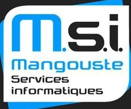 M.S.I. image 5