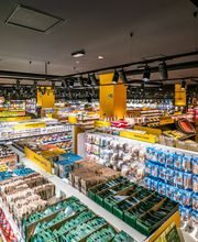 Arcaplanet immagine 1