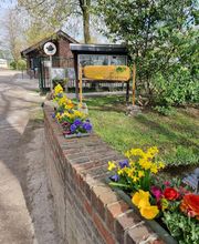 Camping & Ferienpark Waldfrieden Bild 1