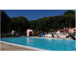 Les Micocouliers image 13