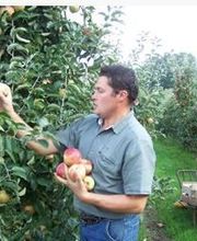 Talbot Fruit image 1