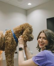 Dash Home Loans image 13