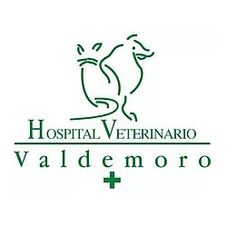 valdemorologo.png