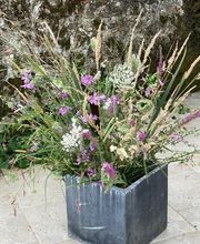 L'Eveil des Sens image 8