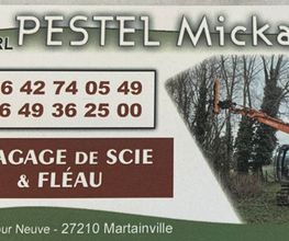 Pestel image 1
