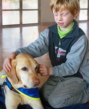 Stiftung Schweizerische Schule für Blindenführhunde Bild 4