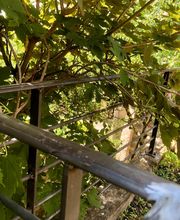 L'Atelier 2 Dimi image 3