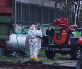 Enviro Pest Control GmbH Bild 7