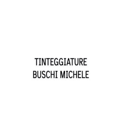 Tinteggiature Buschi Michele logo