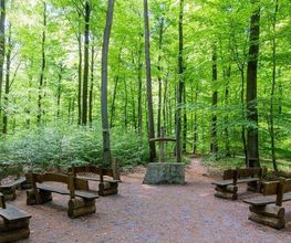 FriedWald Borchen-Nonnenbusch Bild 20