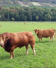 Hofladen Herbert Wey Bild 2