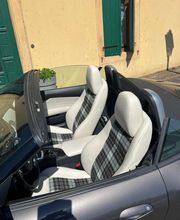 Sellerie Vigneulle image 5