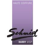 Haute Coiffure Harry Schmid
