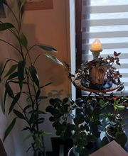 A Fleur De Pieds image 11