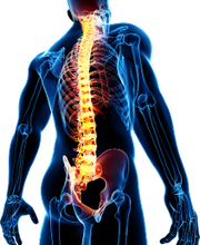 Physiotherapie Mathias Herrmann Bild 1