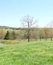 Williams Properties Real Estate image 4