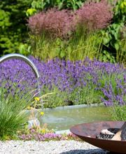 Blumen-Müller AG Bild 6