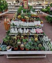 HELLWEG - Die Profi-Baumärkte Berlin Bild 20