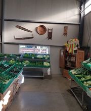 Azienda Agricola Mozzini Roberto Bild 2