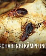 PCS GmbH (APEX) Bild 5