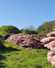 Les Pépinières de Kerfandol image 3