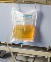 Thalmann Stamm Sabine image 8