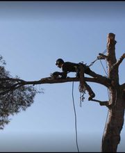 Delange Pere et Fils image 1