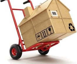 Truck Express image 9