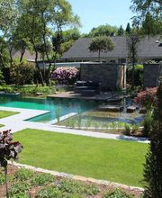 All Around Krekel Bild 2