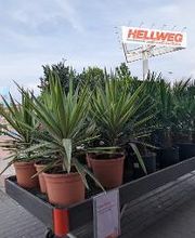 HELLWEG - Die Profi-Baumärkte Berlin Bild 17