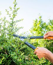 IMHOF Gartengestaltung GmbH Bild 10