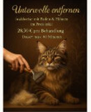 Screenshot 2025-10-23 172750.png