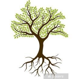 Horticulteur-paysagiste Plomb Sàrl