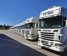 TFMO image 3