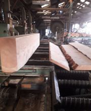 Fourgoux Auvergne Bois image 16