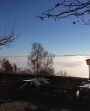 Restaurant Weinberg Warth Bild 6