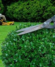 Atout Paysage image 4