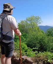 Thomas Romuald image 5