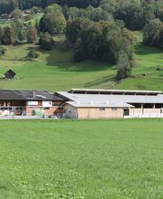 A. Riget Holzbau AG Bild 3