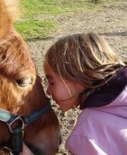 La Chaumière Aux Poneys image 6