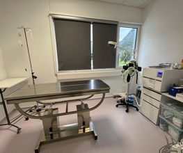 Studio veterinario Can e Gat Bild 6