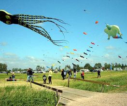 Ferienhof Bruns Bild 24