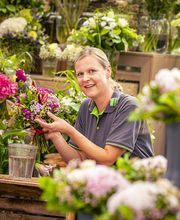 Blumen-Risse Floristin in der Floristik-Abteilung mit Schnittblumen der Saison im Blumenmarkt Lüdinghausen.