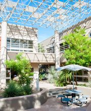 Carol Mellen, Ph.D. image 7