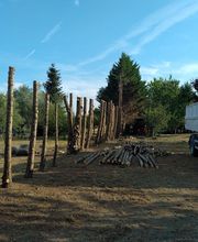 Cyprès des Hêtres image 5